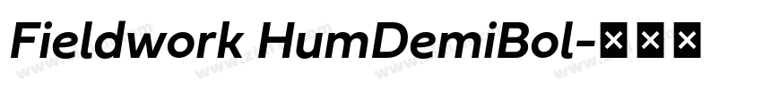 Fieldwork HumDemiBol字体转换